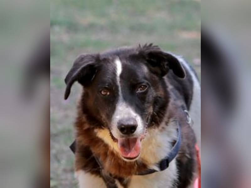 Coraggio - Schritt für Schritt ins Leben zurück