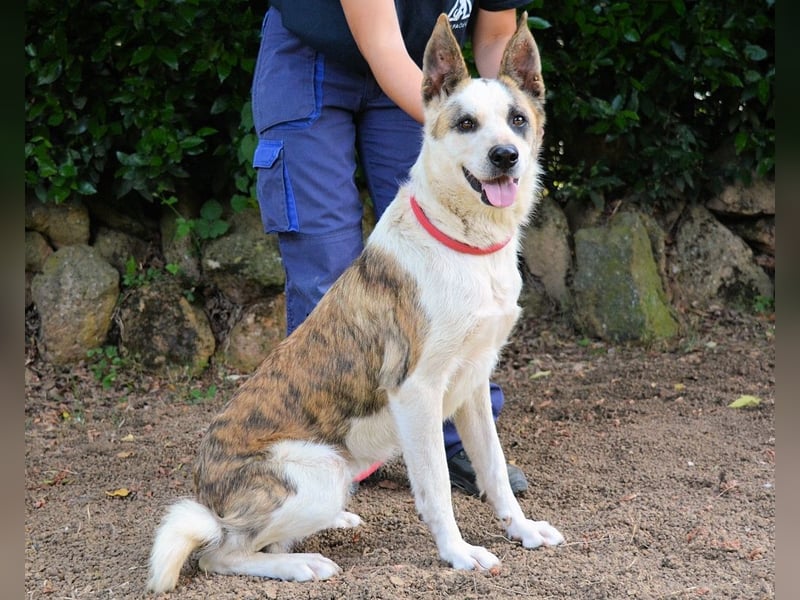 Milde - Ein Flüstern, das sagt: "Du bist sicher."