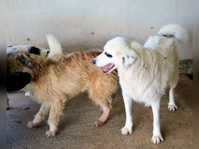 Peeke - Es ist höchste Zeit! Peeke - Es ist höchste Zeit!
