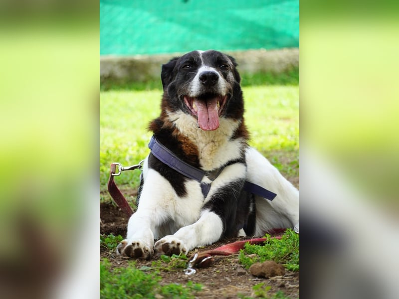 Coraggio - Schritt für Schritt ins Leben zurück