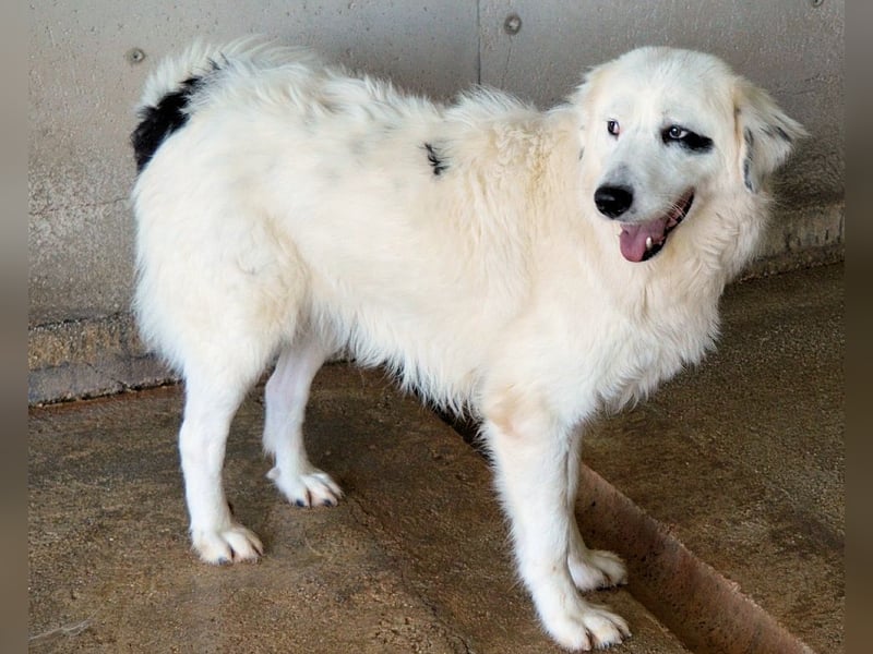 Peeke - Es ist höchste Zeit! Peeke - Es ist höchste Zeit!