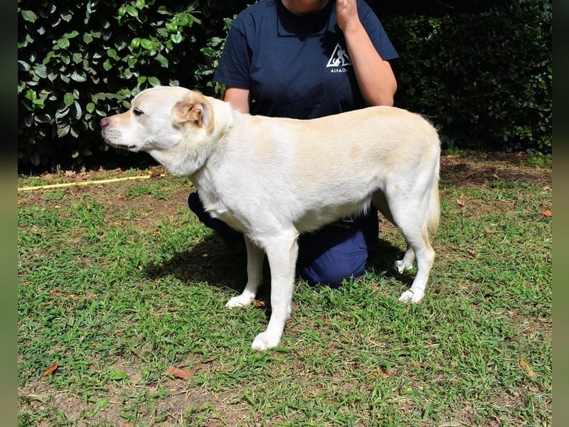 Ulbrecht - Ein kurzer Hauch von Gras