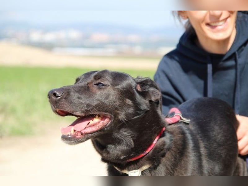 Clodette - Persönlichkeit sucht Führungsqualität!