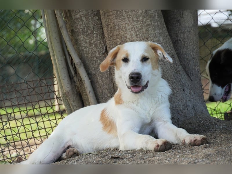 Wafer - Die leise Hoffnung, dass etwas Besseres kommt