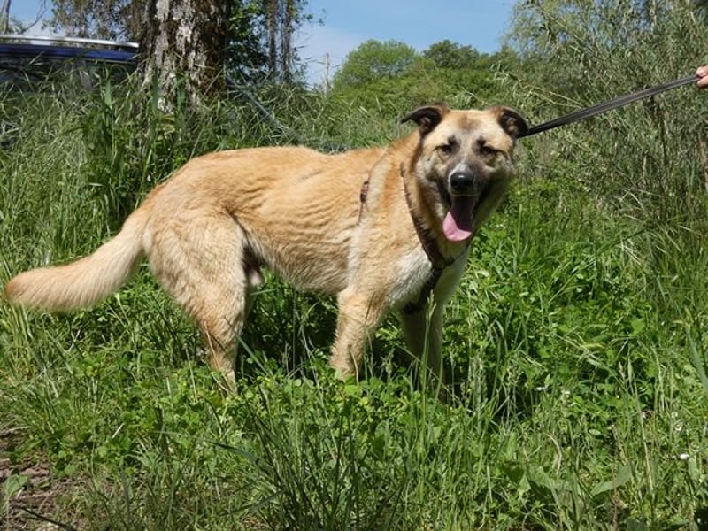 Life - Life will mehr vom Leben - und das zeigt er deutlich!