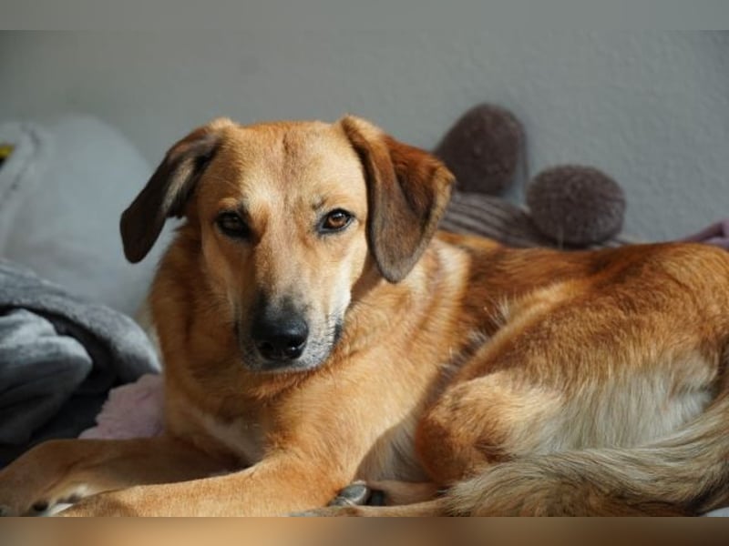 Rihanna - Es hat ihr nichts genützt