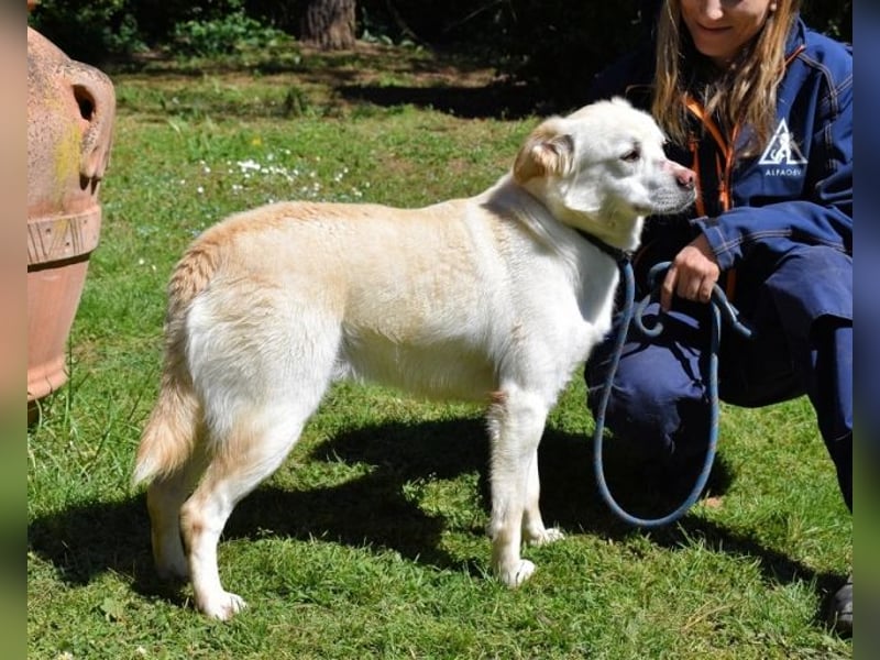 Ulbrecht - Ein kurzer Hauch von Gras