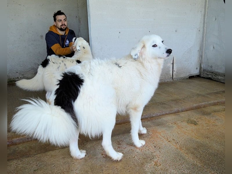 Peeke - Es ist höchste Zeit! Peeke - Es ist höchste Zeit!