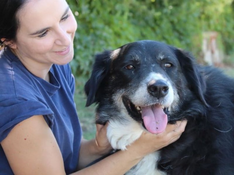 Carmine - Bereit für den Neustart