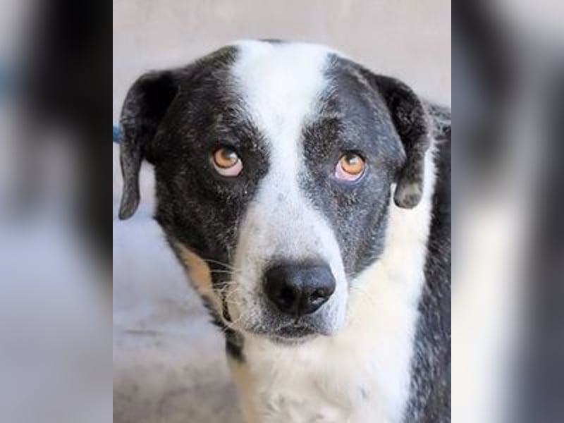 Oldrich - NIE ist einfach zu lang