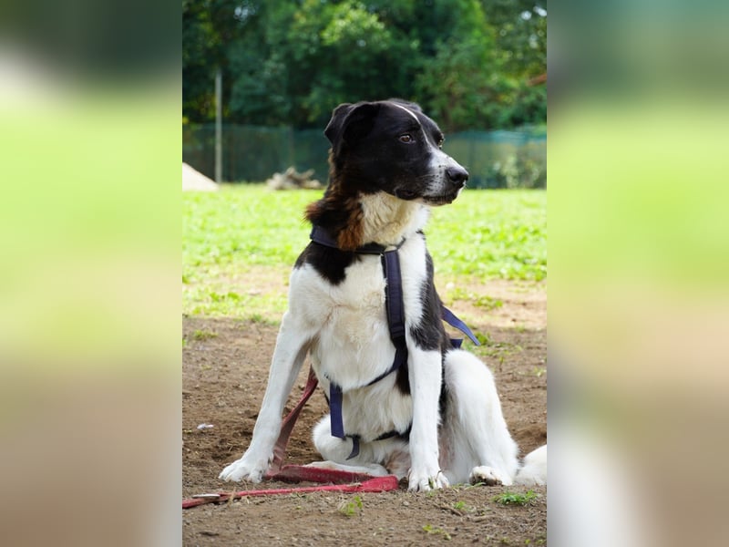 Coraggio - Schritt für Schritt ins Leben zurück
