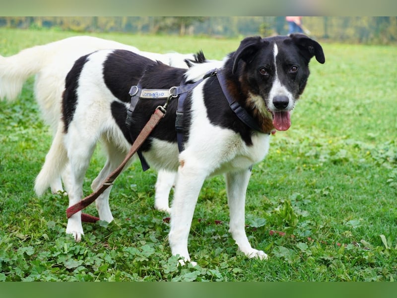 Coraggio - Schritt für Schritt ins Leben zurück