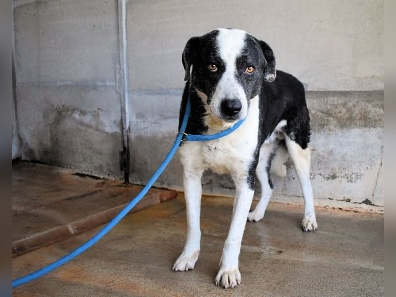 Oldrich - NIE ist einfach zu lang