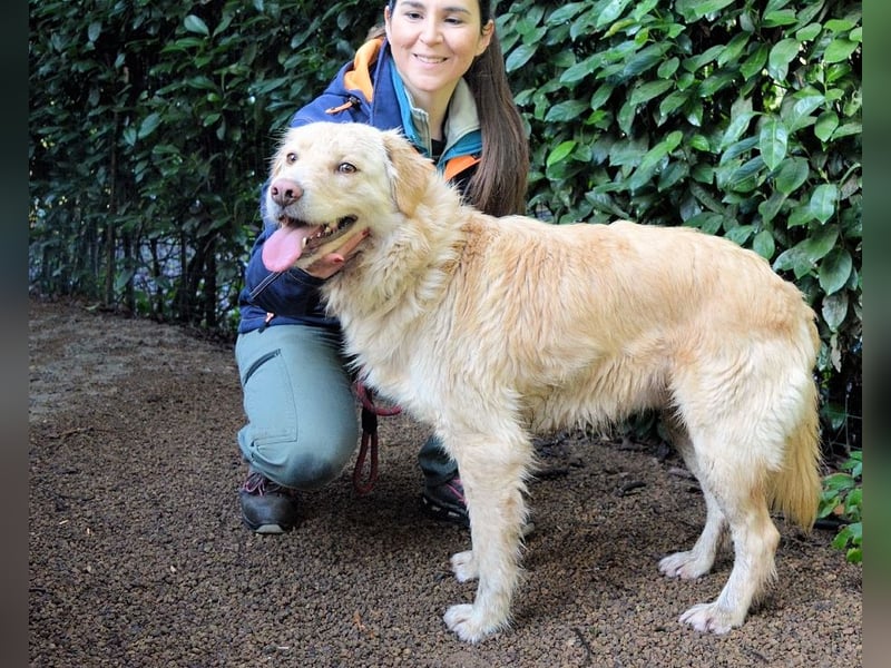 Rodman - läuft sich die Seele wund Rodman - läuft sich die Seele wund