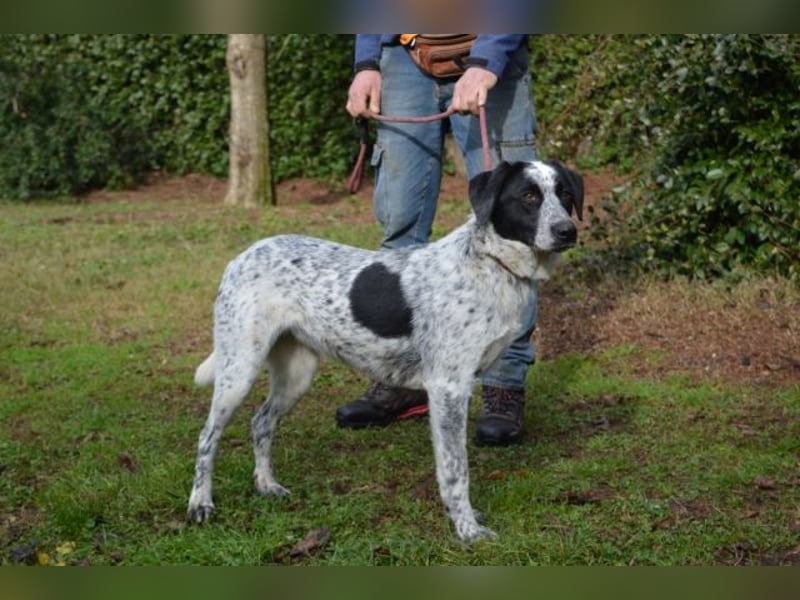 Flicka - möchte noch viel erleben