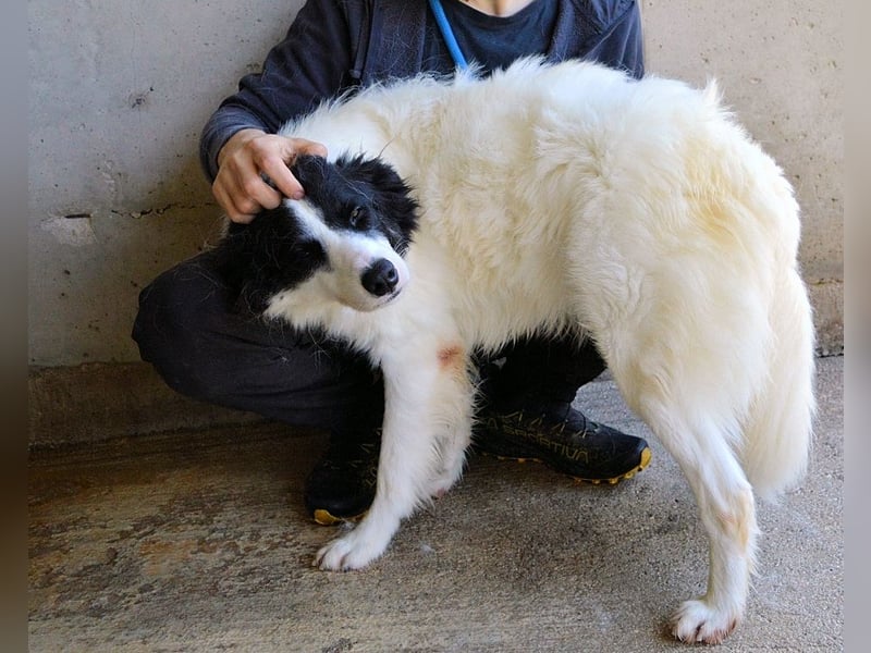 Ghazala - Noch ein bisschen scheu, aber voller Neugier aufs Leben