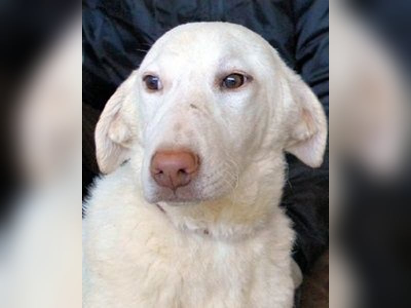 Arriel - aller guten Dinge sind drei