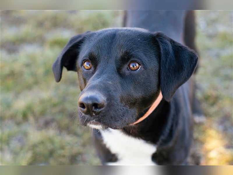 Larry: Sportskanone sucht Gleichgesinnte