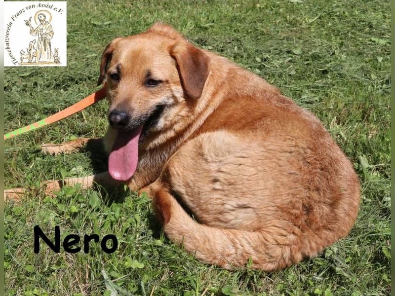 Nero – Weil Normal manchmal einfach perfekt ist!