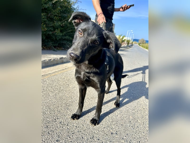 Erobert Feivel dein Herz? <3