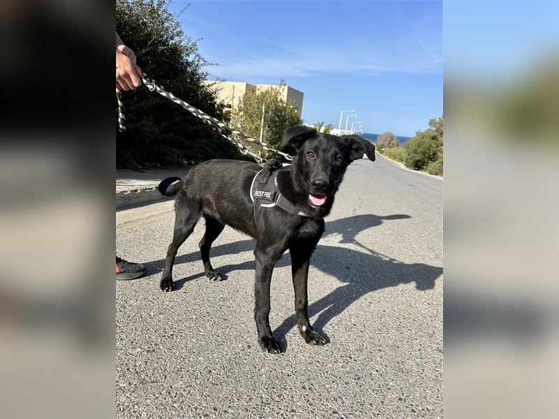 Erobert Feivel dein Herz? <3