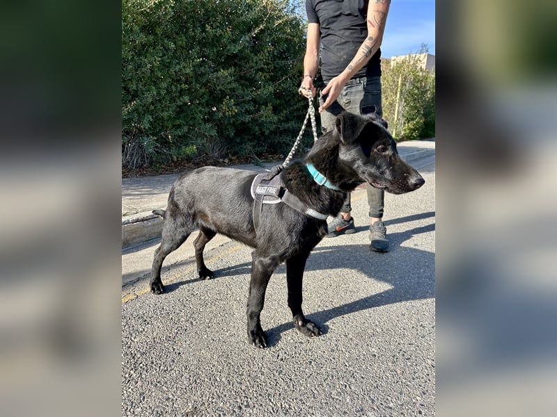 Erobert Feivel dein Herz? <3