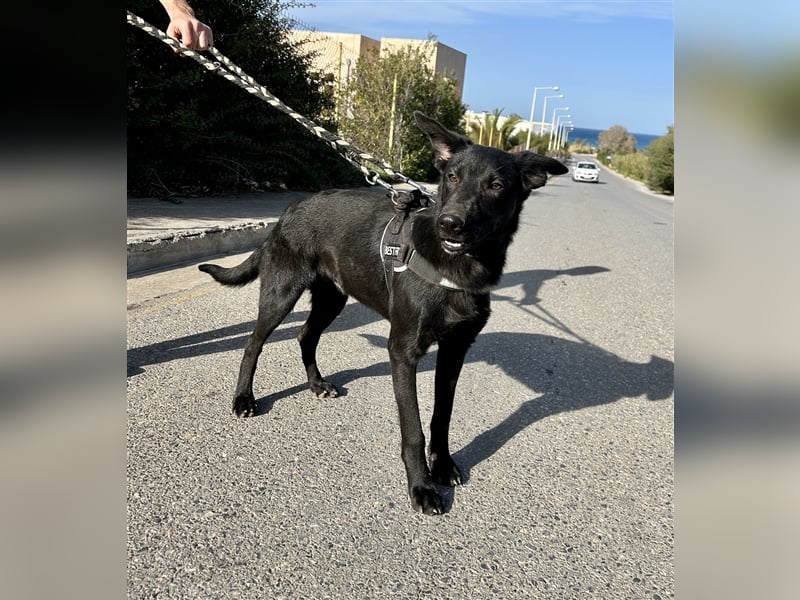 Erobert Feivel dein Herz? <3