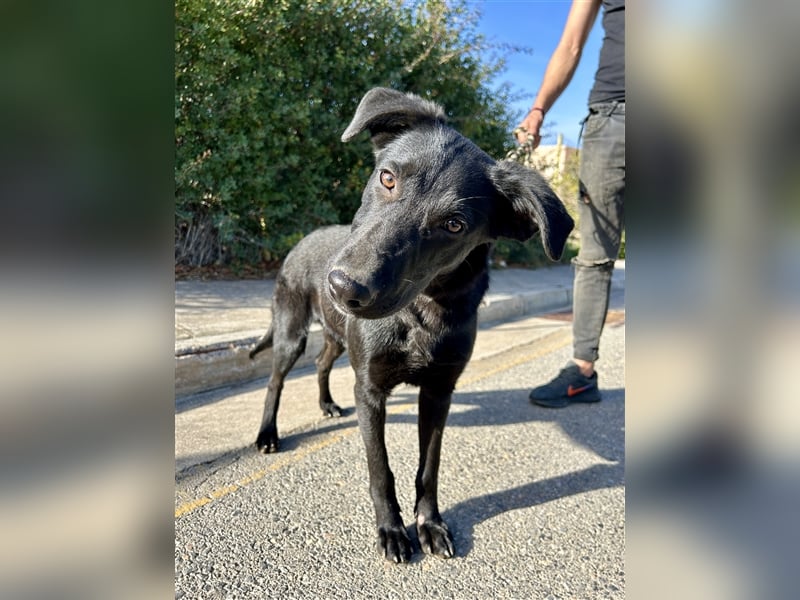 Erobert Feivel dein Herz? <3