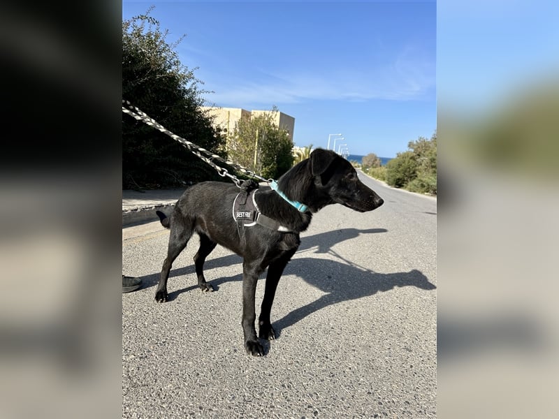 Erobert Feivel dein Herz? <3