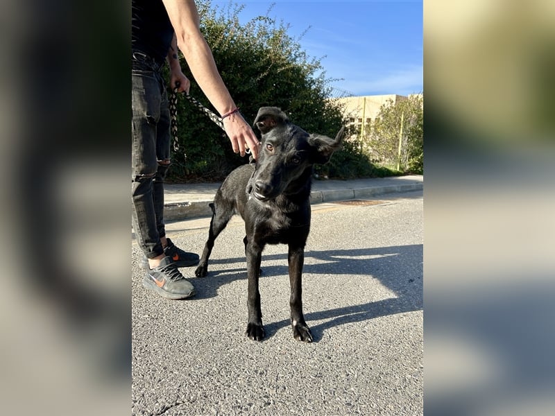 Erobert Feivel dein Herz? <3