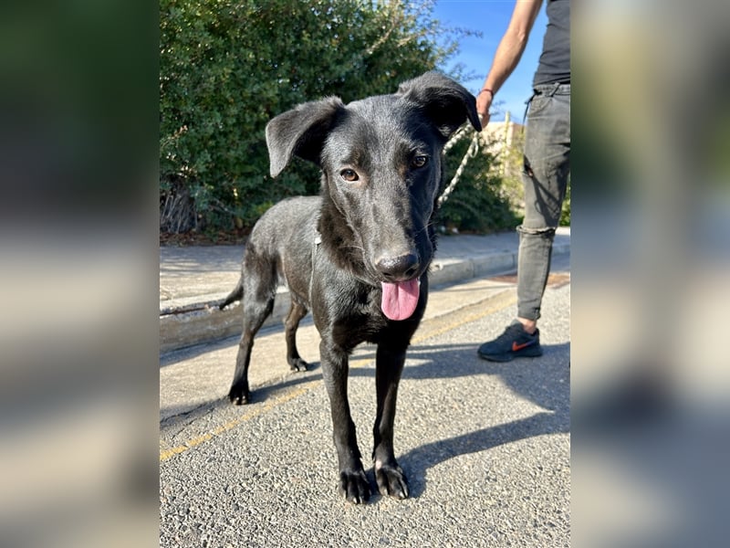 Erobert Feivel dein Herz? <3