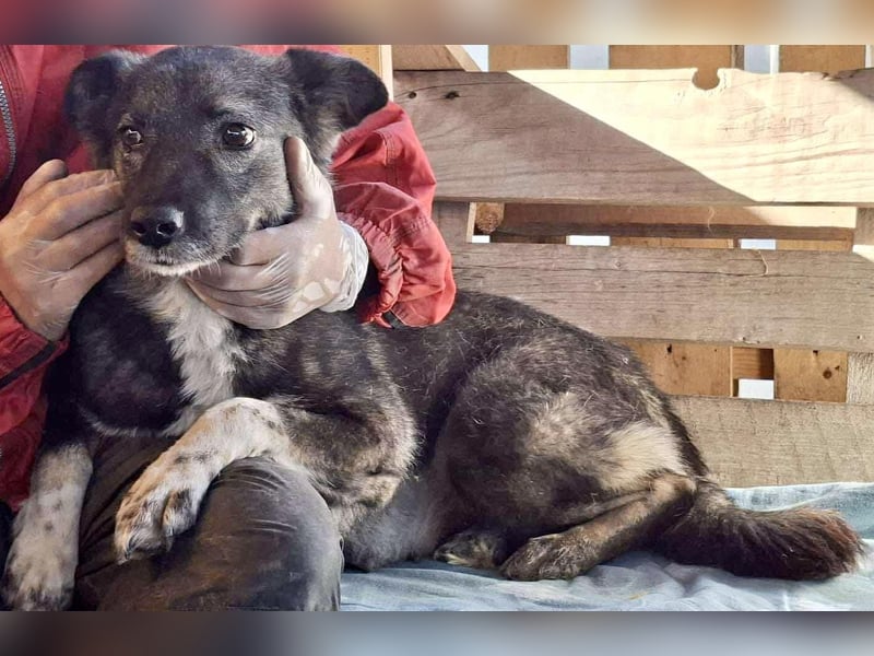 Seniorin Nancy – Es geht um die Wurst