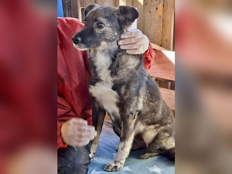 Seniorin Nancy – Es geht um die Wurst