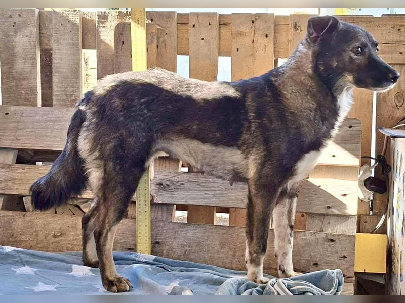 Seniorin Nancy – Es geht um die Wurst