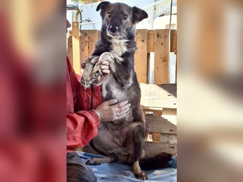 Seniorin Nancy – Es geht um die Wurst