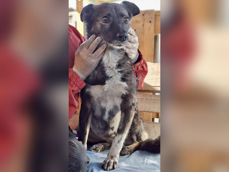 Seniorin Nancy – Es geht um die Wurst