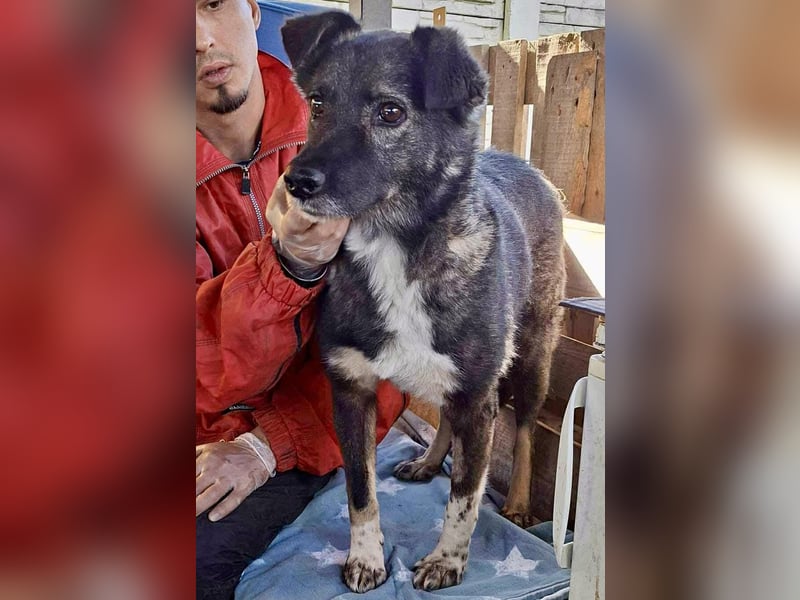 Seniorin Nancy – Es geht um die Wurst