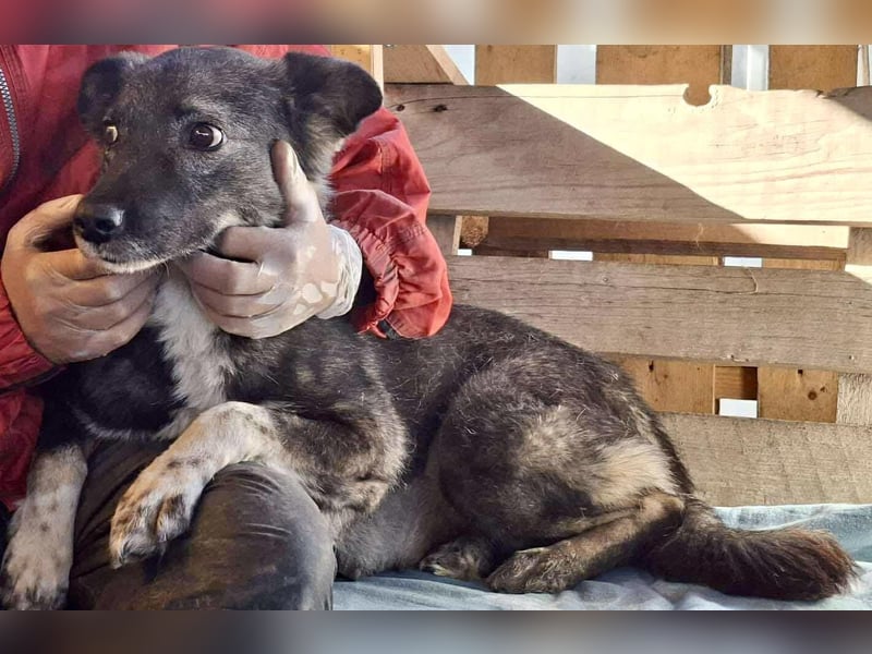 Seniorin Nancy – Es geht um die Wurst