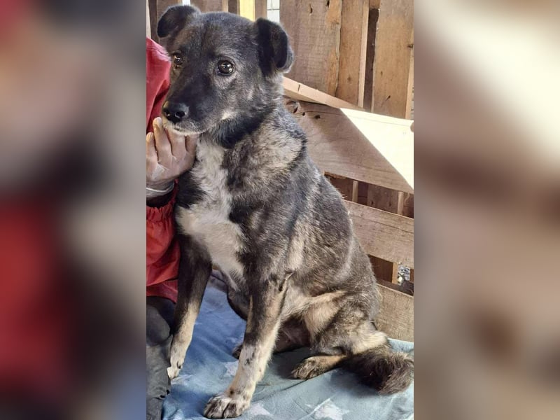 Seniorin Nancy – Es geht um die Wurst