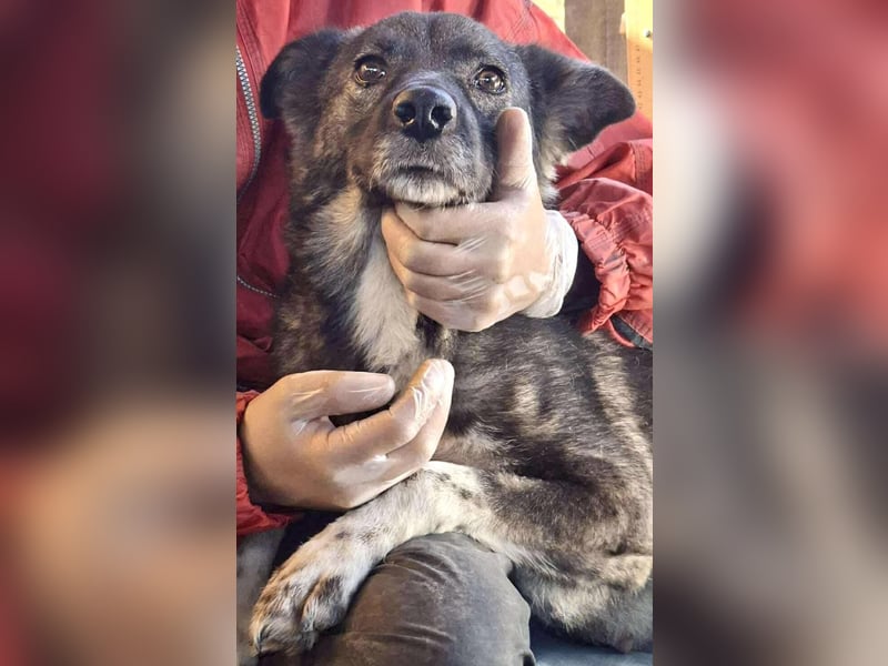 Seniorin Nancy – Es geht um die Wurst