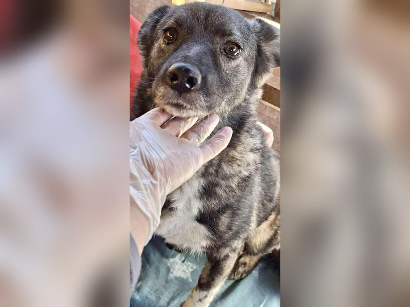 Seniorin Nancy – Es geht um die Wurst