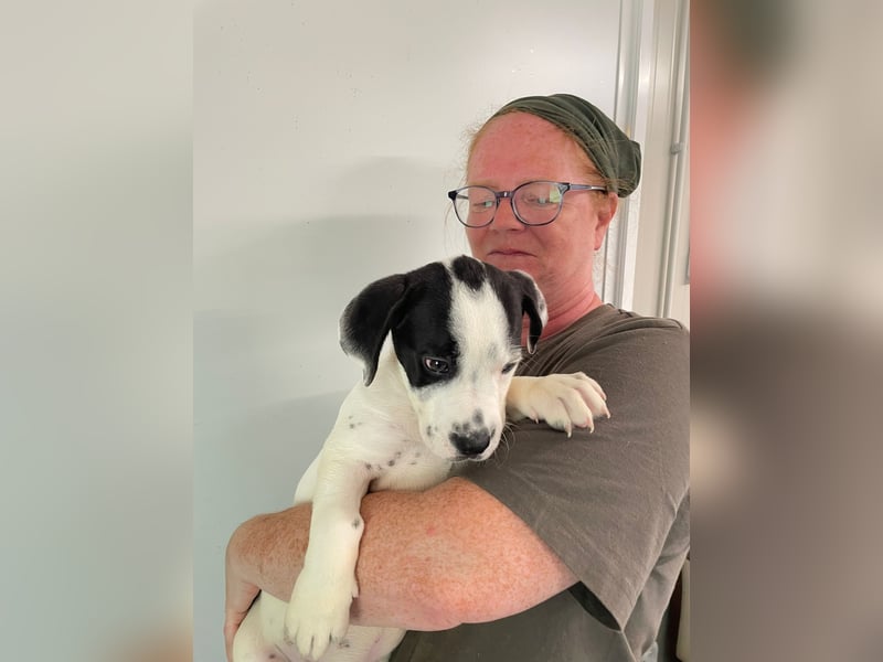 Tobi, unser kleiner Sonnenschein sucht liebevolle Menschen