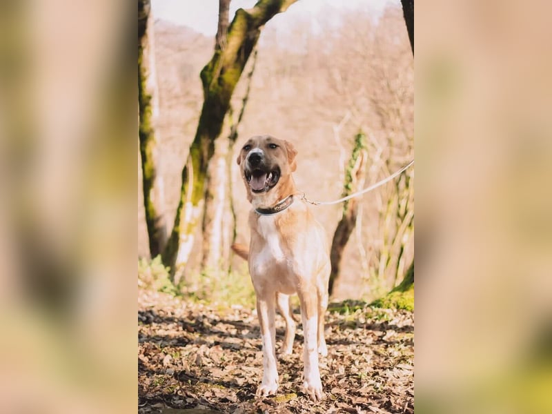 Neugieriger Süleyman sucht sein Zuhause