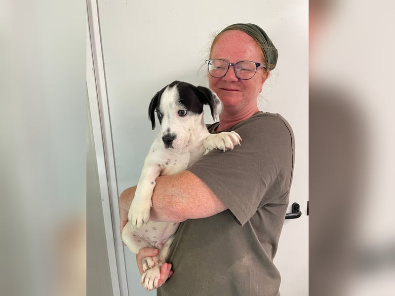 Tobi, unser kleiner Sonnenschein sucht liebevolle Menschen