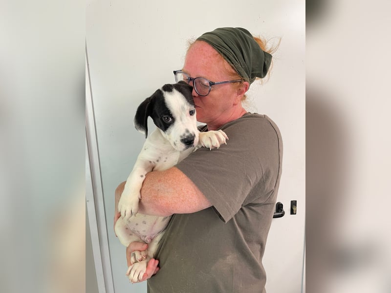 Tobi, unser kleiner Sonnenschein sucht liebevolle Menschen