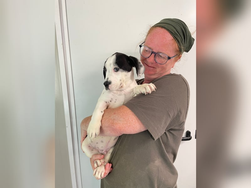 Tobi, unser kleiner Sonnenschein sucht liebevolle Menschen