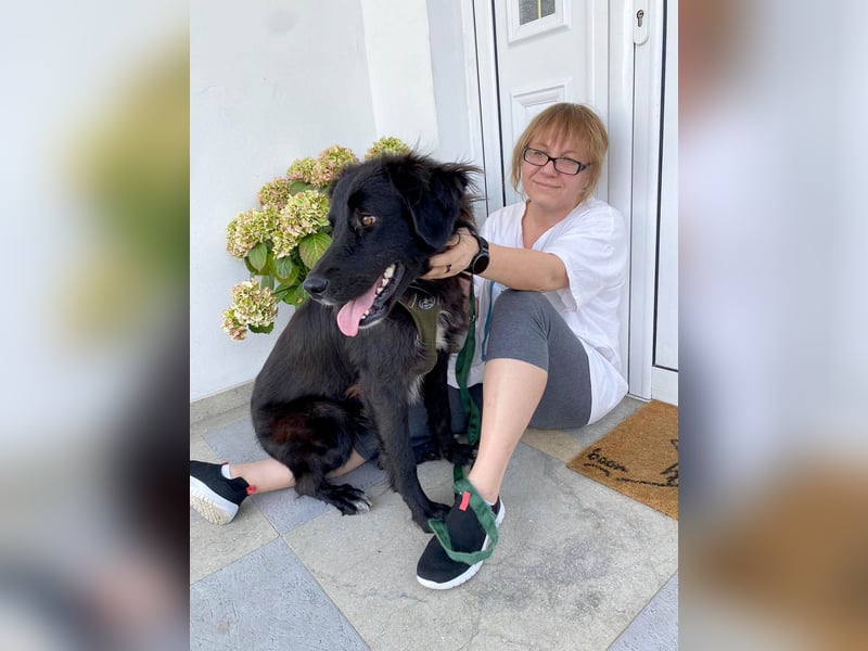 Hübsche Niculina sucht ihr Zuhause