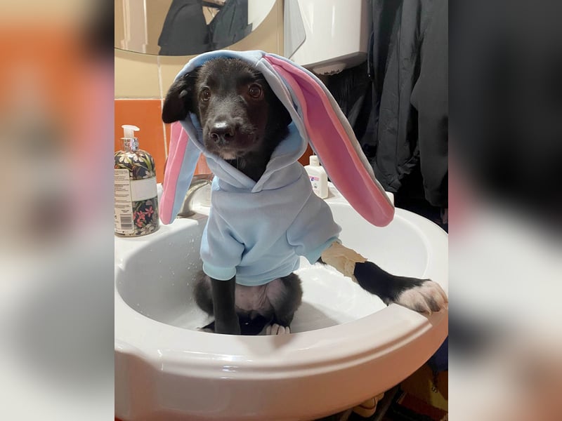 Süße Raya sucht Familie, die ihr Halt gibt