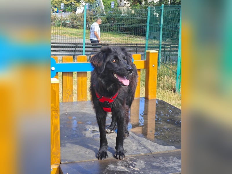 Hübsche Niculina sucht ihr Zuhause