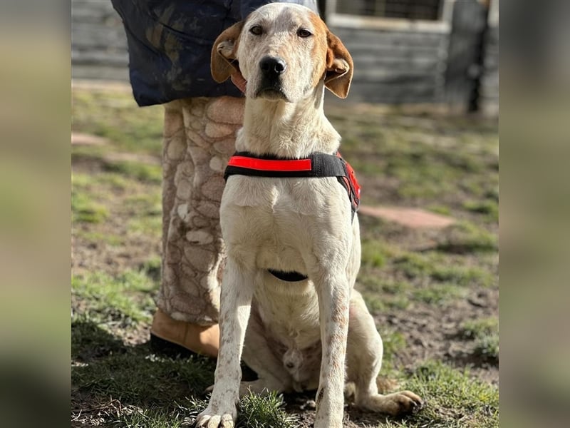 LUCK (*2023) möchte gerne ankommen